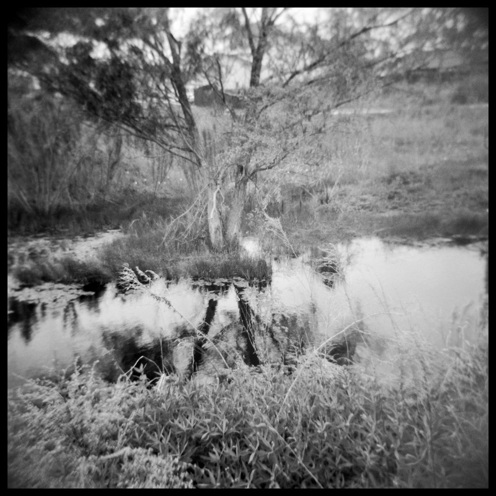 Holga 120N // Kentmere&nbsp;400